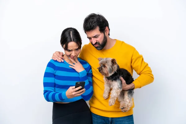 Mladá Hispánka Drží Psa Izolované Bílém Pozadí Čtení Zprávy Mobilním — Stock fotografie