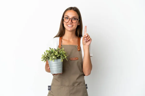 Tuinier Meisje Houden Van Een Plant Geïsoleerde Witte Achtergrond Wijzend — Stockfoto
