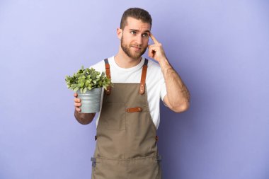 Bahçıvan beyaz adam sarı arka planda izole edilmiş bir bitki tutuyor. Şüpheleri var ve düşünüyor.