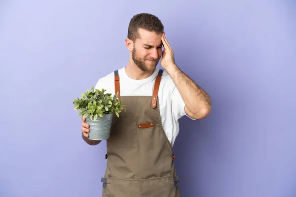 Gardener Caucasian Man Holding Plant Isolated Yellow Background Headache — 스톡 사진