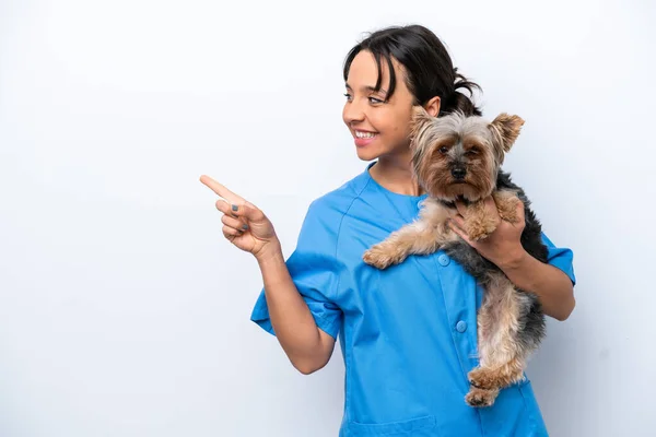 Young Veterinarian Woman Dog Isolated White Background Pointing Side Present — Stock Photo, Image