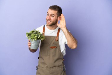 Bahçıvan beyaz bir adam sarı arka planda izole bir bitki tutuyor. Kulağına elini sürerek bir şey dinliyor.