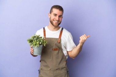 Bahçıvan beyaz bir adam sarı arka planda izole edilmiş bir bitki tutuyor. Yan tarafı göstererek bir ürün sunuyor.