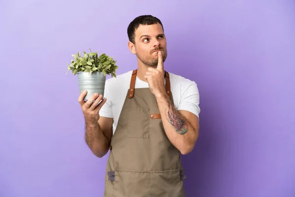 Brazilian Gardener man holding a plant over isolated purple background having doubts while looking up