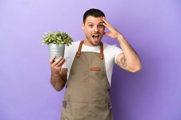 Brazilian Gardener man holding a plant over isolated purple background with surprise expression