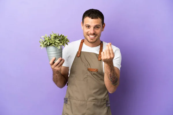 Brazilian Gardener man holding a plant over isolated purple background making money gesture