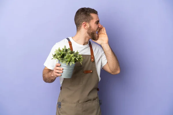 Gardener Caucasian Man Holding Plant Isolated Yellow Background Shouting Mouth — 스톡 사진