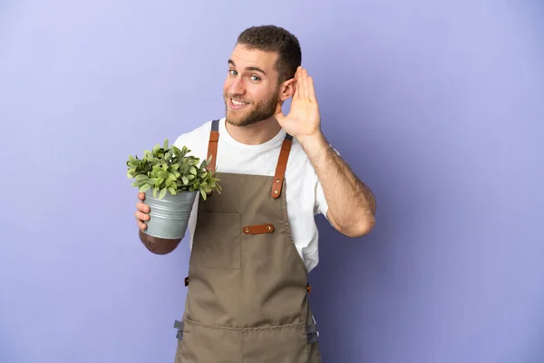 Gardener Caucasian Man Holding Plant Isolated Yellow Background Listening Something — Φωτογραφία Αρχείου