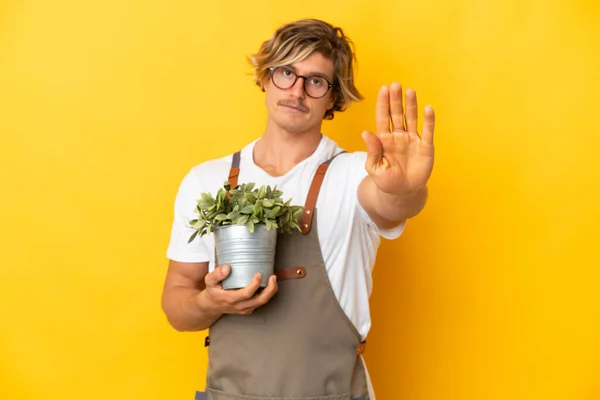 Trädgårdsmästare Blond Man Som Håller Växt Isolerad Gul Bakgrund Gör — Stockfoto
