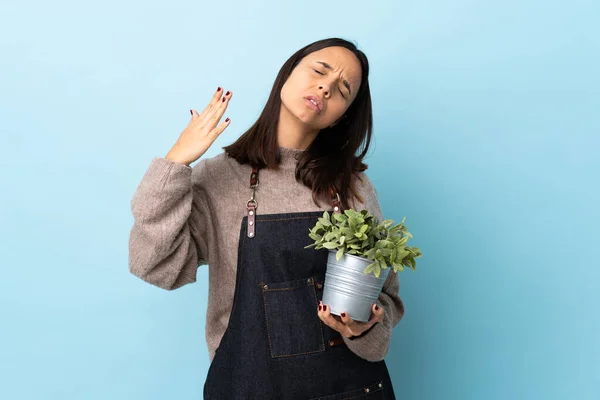 Young Brunette Mixed Race Woman Holding Plant Isolated Blue Background — Foto Stock