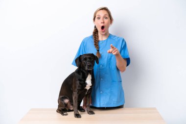 Beyaz arka planda izole edilmiş köpekli genç veteriner kadın şaşırmış ve ön tarafı işaret ediyor.
