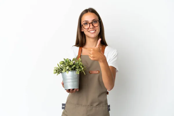 Gardener Girl Holding Plant Isolated White Background Thumbs Because Something — Foto Stock