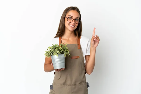 Gardener Girl Holding Plant Isolated White Background Showing Lifting Finger — Foto Stock