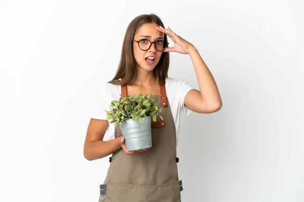 Gardener Girl Holding Plant Isolated White Background Doing Surprise Gesture — 스톡 사진