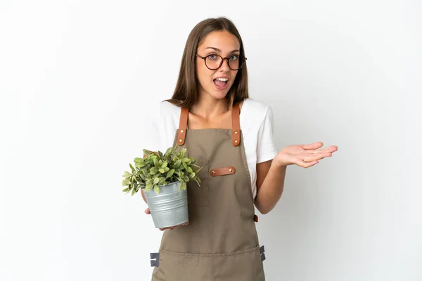 Gardener Girl Holding Plant Isolated White Background Shocked Facial Expression — Foto Stock