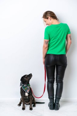 Yavru köpeği arka planda beyaz bir arka planda izole edilmiş bir kız.