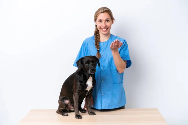 Mulher Veterinária Jovem Com Cão Isolado Fundo Branco Convidando Para — Fotografia de Stock