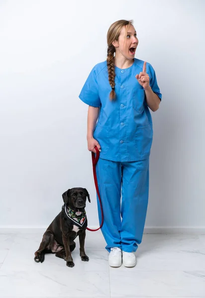 Full Body Veterinarian Woman Dog Isolated White Background Intending Realizes — 스톡 사진