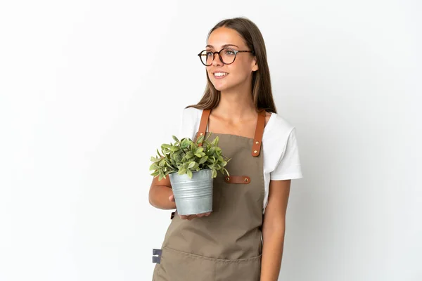 Kertész Lány Gazdaság Egy Növény Felett Elszigetelt Fehér Háttér Néz — Stock Fotó