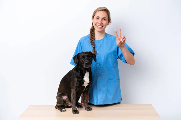 Jovem Veterinária Mulher Com Cão Isolado Fundo Branco Sorrindo Mostrando — Fotografia de Stock