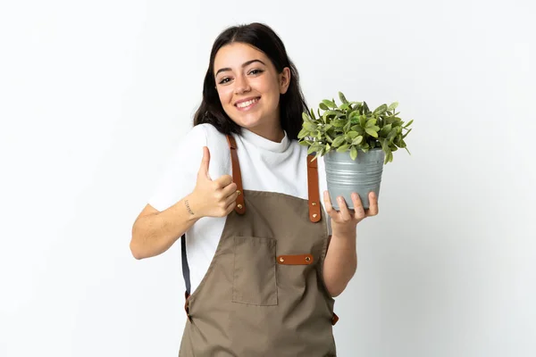 Fiatal Kaukázusi Fehér Hátterű Növényt Tart Hüvelykujjával Felfelé Mert Valami — Stock Fotó