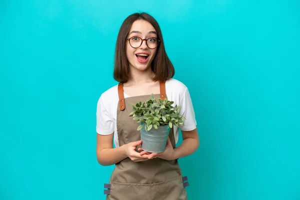 Giardiniere Donna Ucraina Che Tiene Una Pianta Isolata Sfondo Blu — Foto Stock