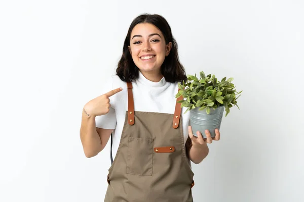Mujer Joven Caucásica Sosteniendo Una Planta Aislada Sobre Fondo Blanco —  Fotos de Stock
