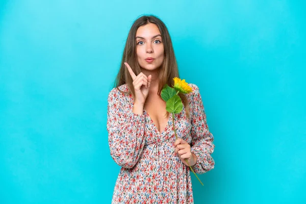 Young Caucasian Woman Holding Sunflower Isolated Blue Background Intending Realizes — Stock Photo, Image