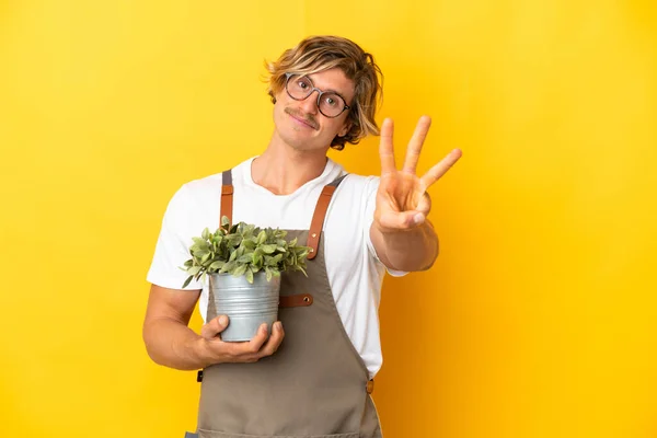 Gardener Blonde Man Holding Plant Isolated Yellow Background Happy Counting — 스톡 사진