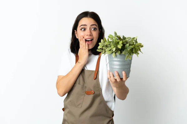 Young Caucasian Woman Holding Plant Isolated White Background Surprise Shocked — Foto de Stock