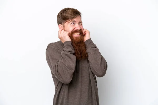 Redhead Man Beard Isolated White Background Frustrated Covering Ears — стоковое фото