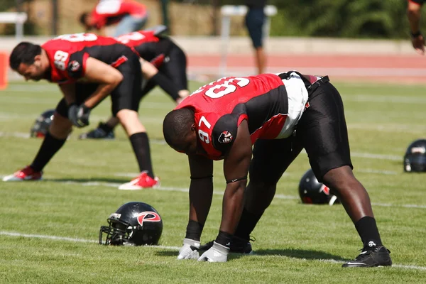 Final efaf Kupası 2013 — Stok fotoğraf