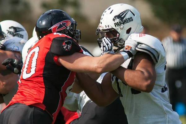 Final efaf Kupası 2013 — Stok fotoğraf