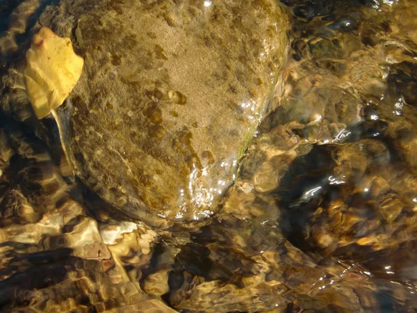 水河 — 图库照片