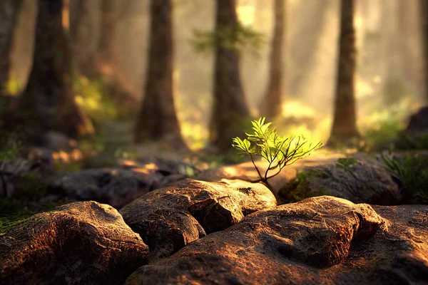 Computer generated illustration of a forest floor in spring with tree trunks in the background, moss and rocks and amber spring sunlight shining through. A.I. generated art.