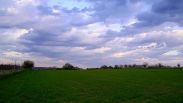 Atardecer a la noche pradera lapso de tiempo — Vídeos de Stock