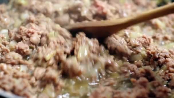 FRYING MINCED MEAT WITH ONION AND RICE — Stock Video