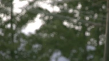 kar için kaç kar taneleri düşmeye başladı