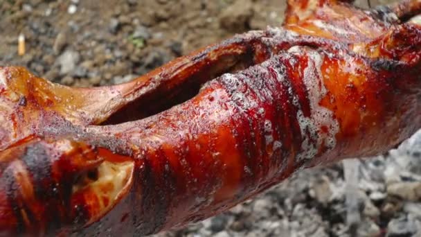 Een varken aan het spit roosteren — Stockvideo