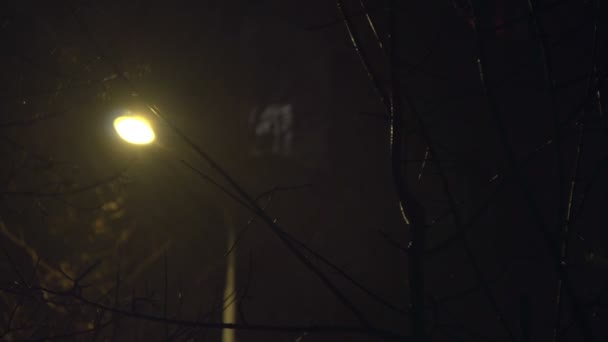 Sony fs-100 - sneeuwt in de stad bij nacht — Stockvideo