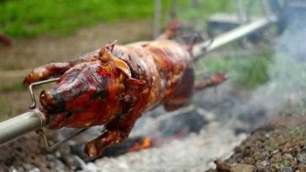 Asar un cerdo en una saliva — Vídeos de Stock