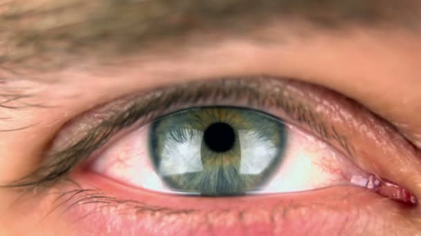 Синий и зеленый глазной макрос — стоковое видео