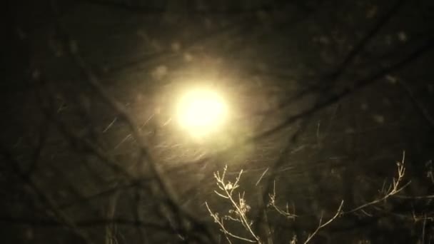 소니 fs-100-밤에는 도시에 눈이 내리고 — стокове відео