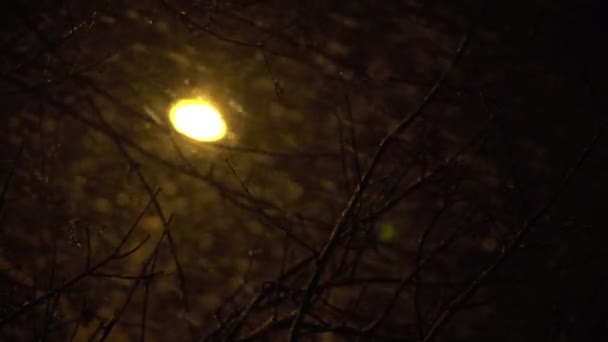 Sony fs-100 - sneeuwt in de stad bij nacht — Stockvideo