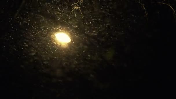 Sony FS-100 - nevando en la ciudad por la noche — Vídeos de Stock