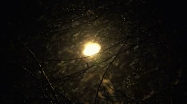 Sony fs-100 - şehirde gece kar yağıyor.