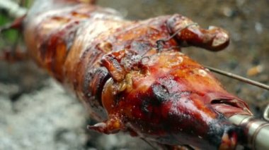 şiş üzerinde domuz kavurma