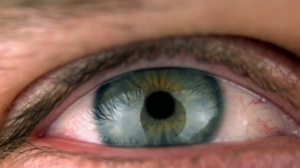 Makro blauer und grüner Augen — Stockvideo