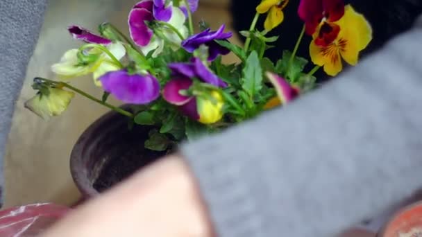 Super 35mm camera - planten van bloemen — Stockvideo