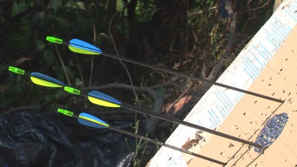 Flechas golpeando objetivo de cartón improvisado — Vídeos de Stock